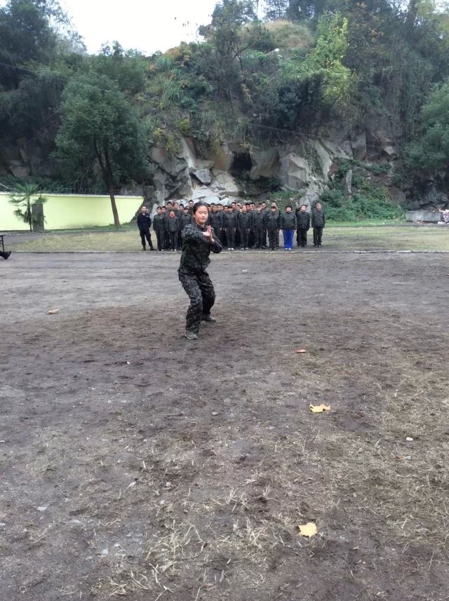 擒敌拳